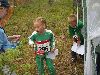 Mini Ilves